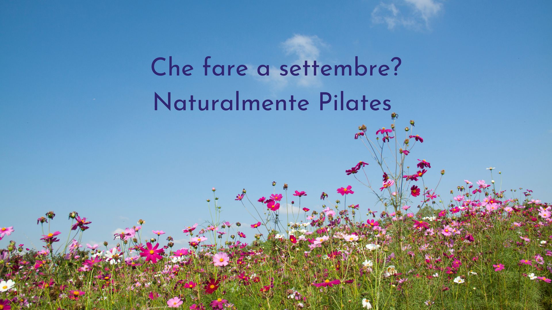 Pilates_settembre Morbi vitae purus dictum, ultrices tellus in, gravida lectus.